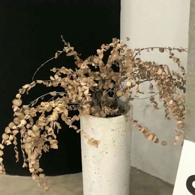 Furry赛博风格设计技巧福瑞群